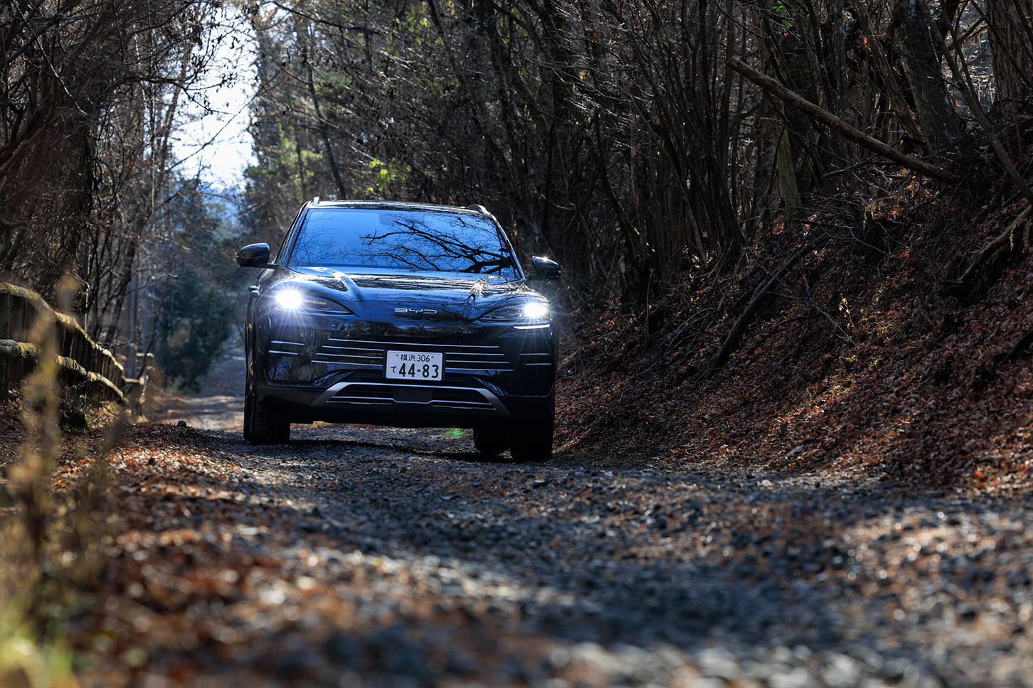 🔥比亚迪真香！试驾后我沉默了…🇯🇵车颤抖！