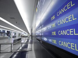 ✈️ 突发！中日航线大缩水，12月取消四成！