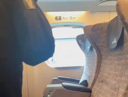 🚄 通勤族的崩溃瞬间：忍不住的坏习惯，太真实了！