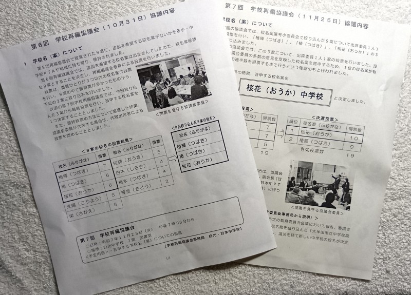 🌸校名“樱花”惹争议：竟与特攻队有关！