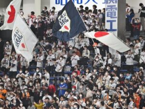 错误：Gemini API 请求失败。 封面