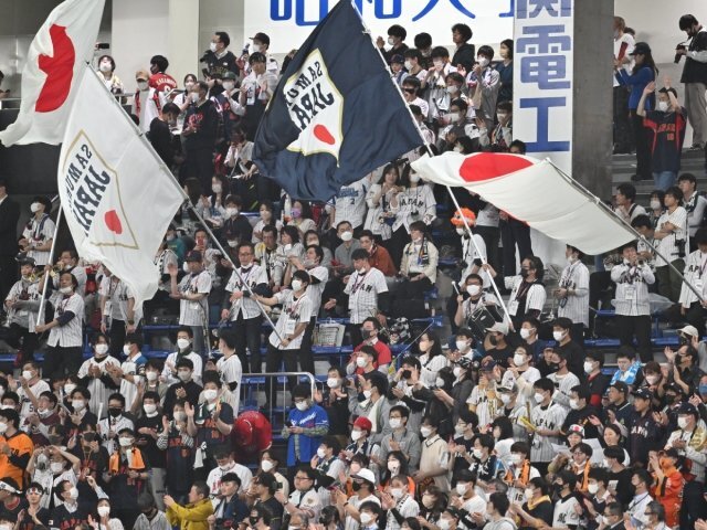 错误：Gemini API 请求失败。