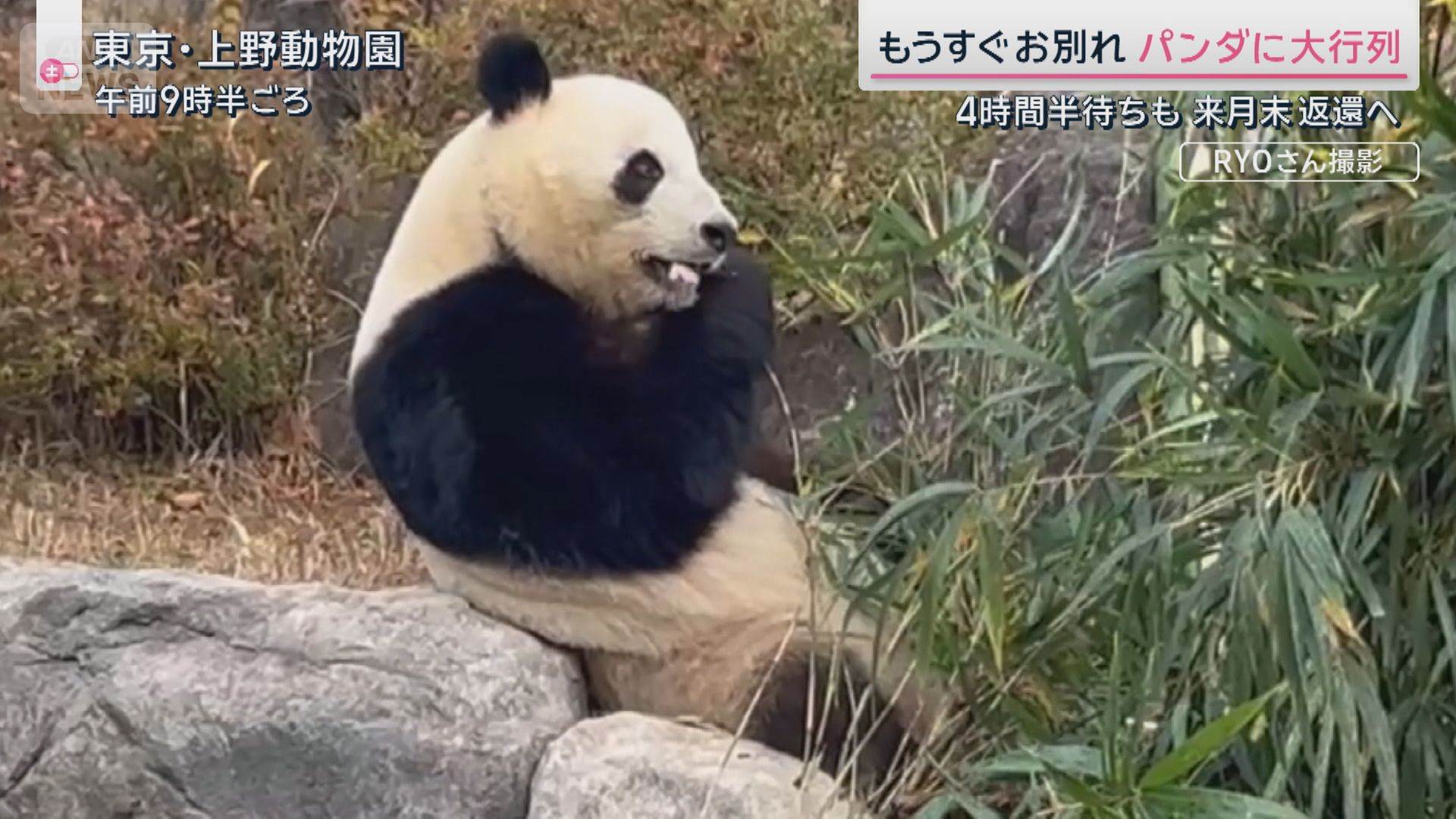 📉中国游客断崖式锐减！依赖度最高县，景象巨变！