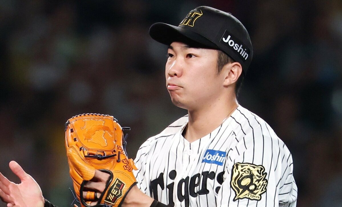 🔥阪神群星奔美！但别慌，未来可期！