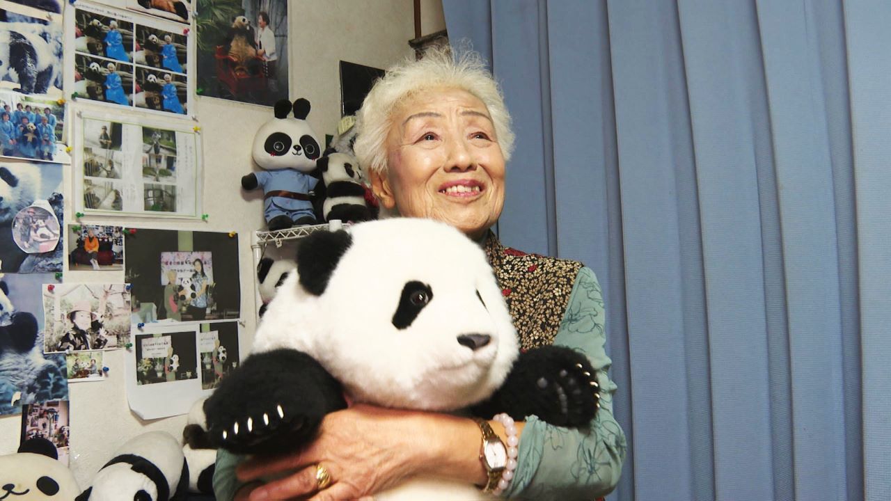 🐼她与大熊猫的“1%羁绊”，拯救中国最后的熊猫！