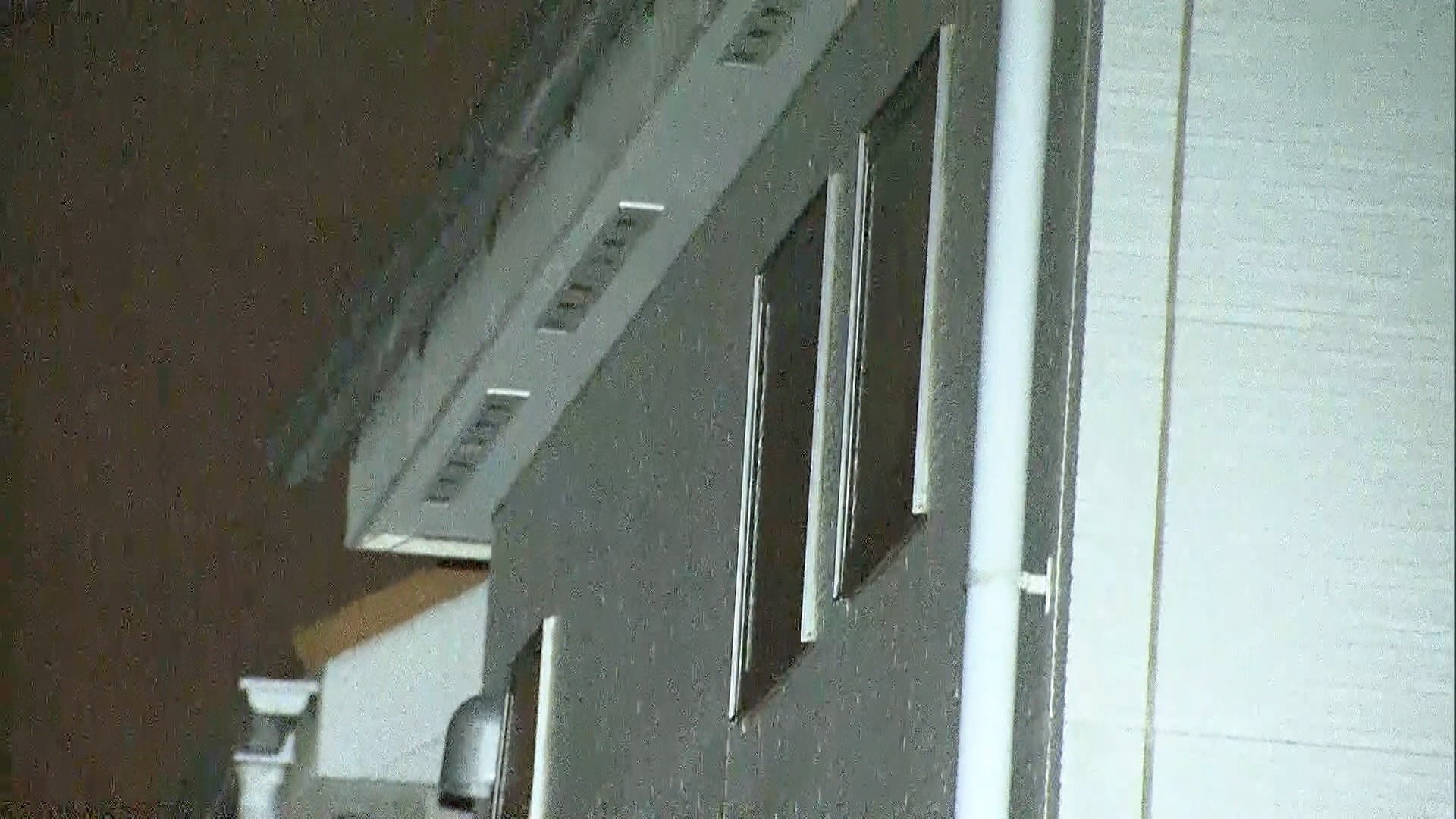 💔西东京惊魂：母子四人遇害，母亲身负伤痕！