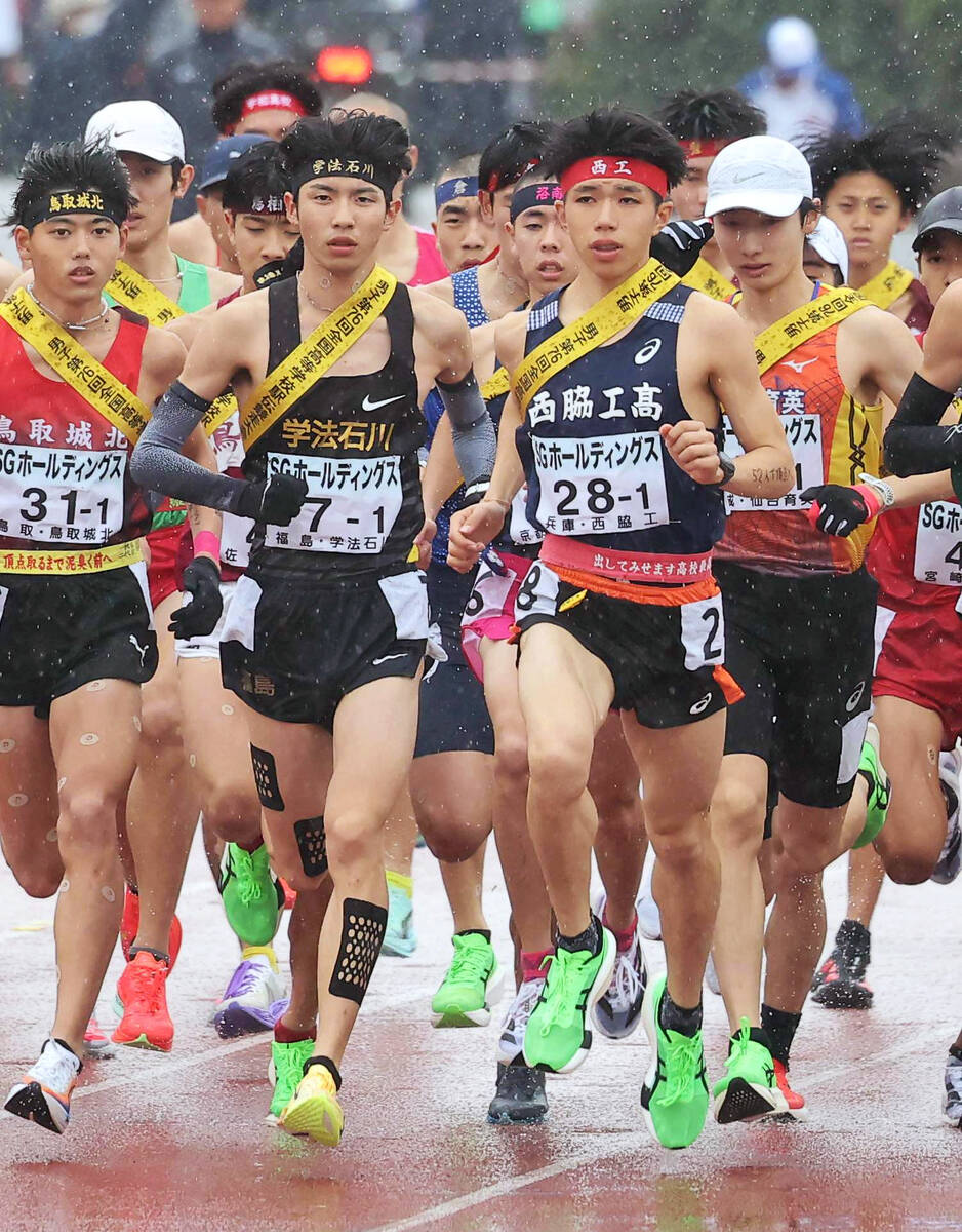 🏃‍♂️早大横扫！三大跑将加盟，王者归来？！