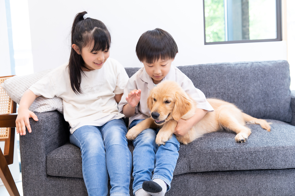 🐶养狗娃，社交力UP？研究：家里有狗，孩子更外向！