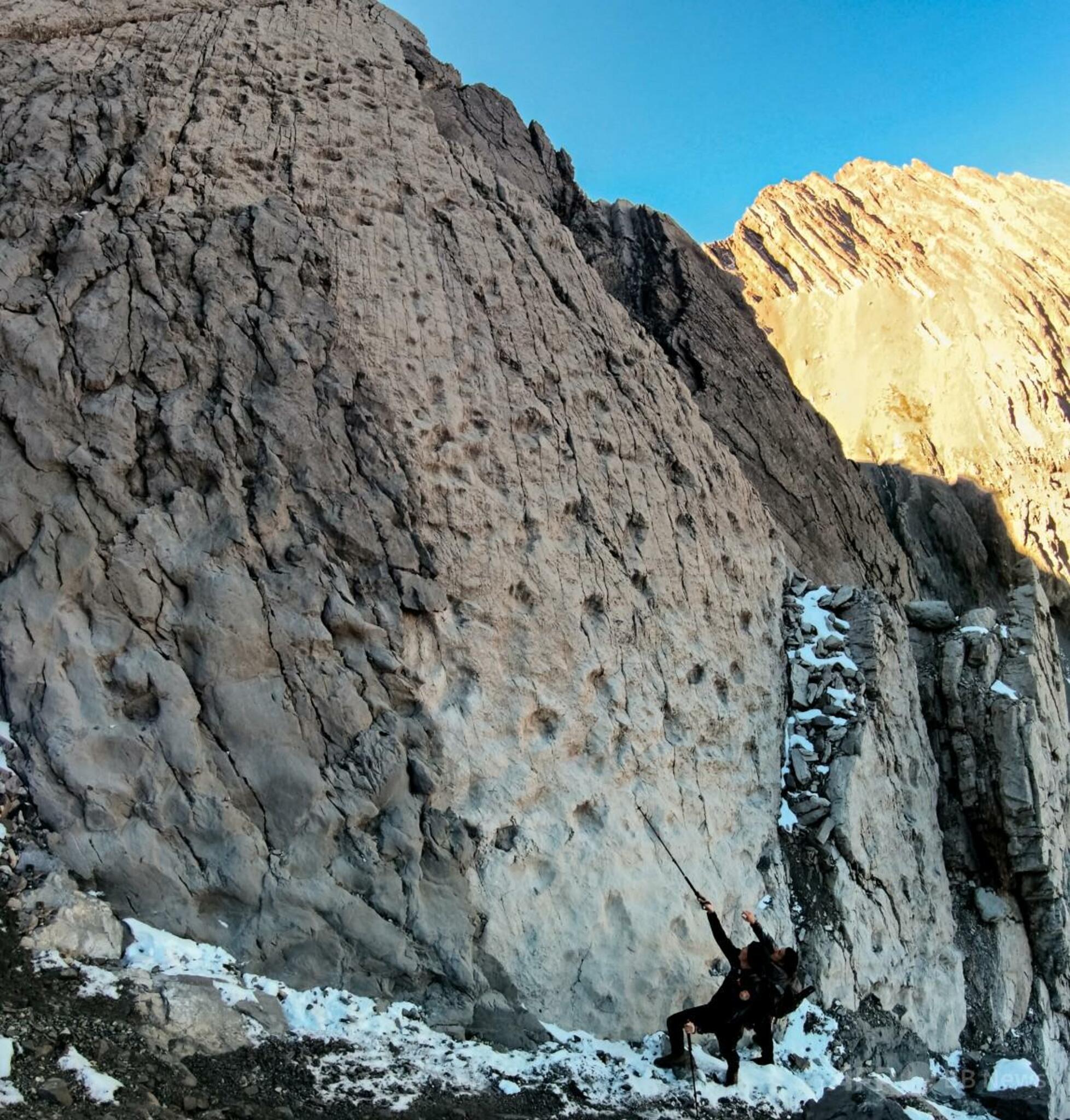🦖意大利惊现巨型恐龙脚印！震撼世界！