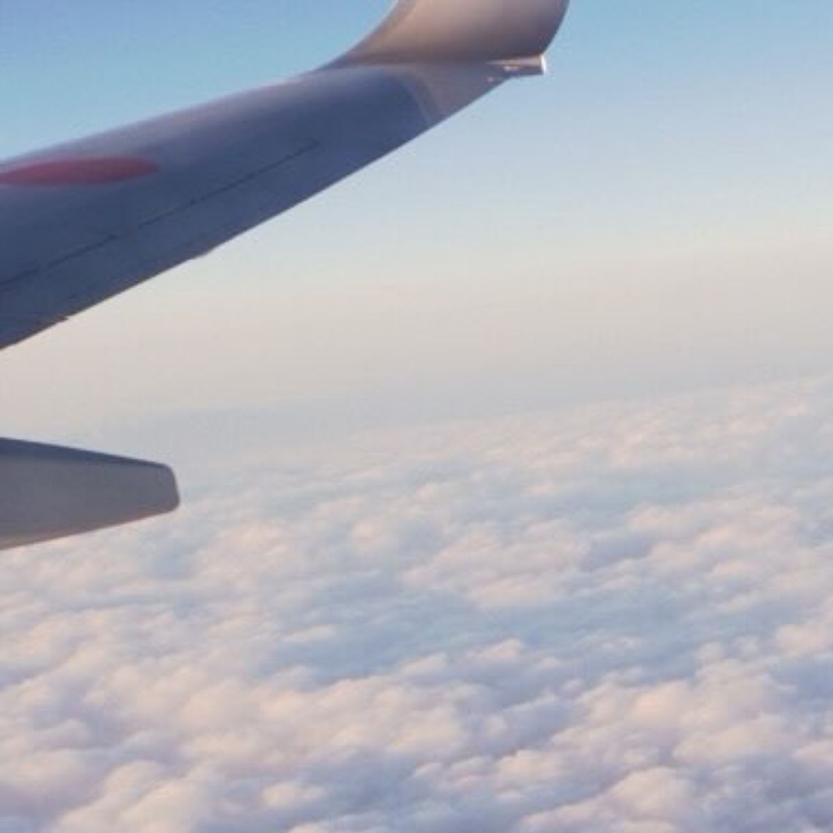 ✈️ 飞机长广播后，我惊呆了！这才是真正的日本！