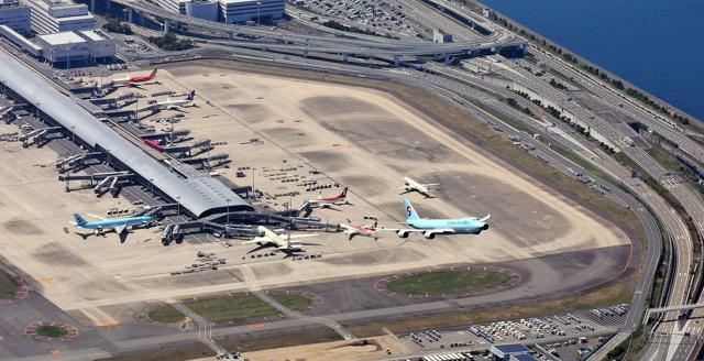 ✈️ 中国直飞日本骤降3成！🇯🇵 别再犹豫了！