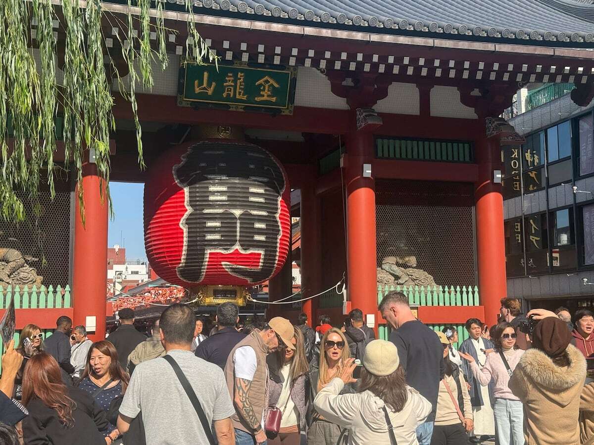 🗑️垃圾桶太少？黑科技垃圾桶，让乱扔垃圾OUT！