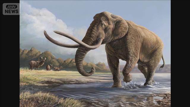 🐘猛犸象的秘密：DNA解密！史前巨兽终揭秘！