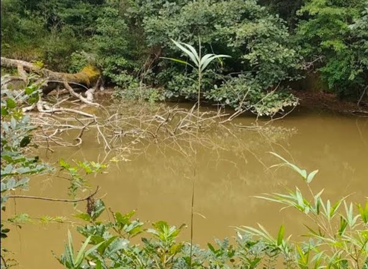 🌊 荒废池塘变身记：美如仙境，一年后惊呆了！