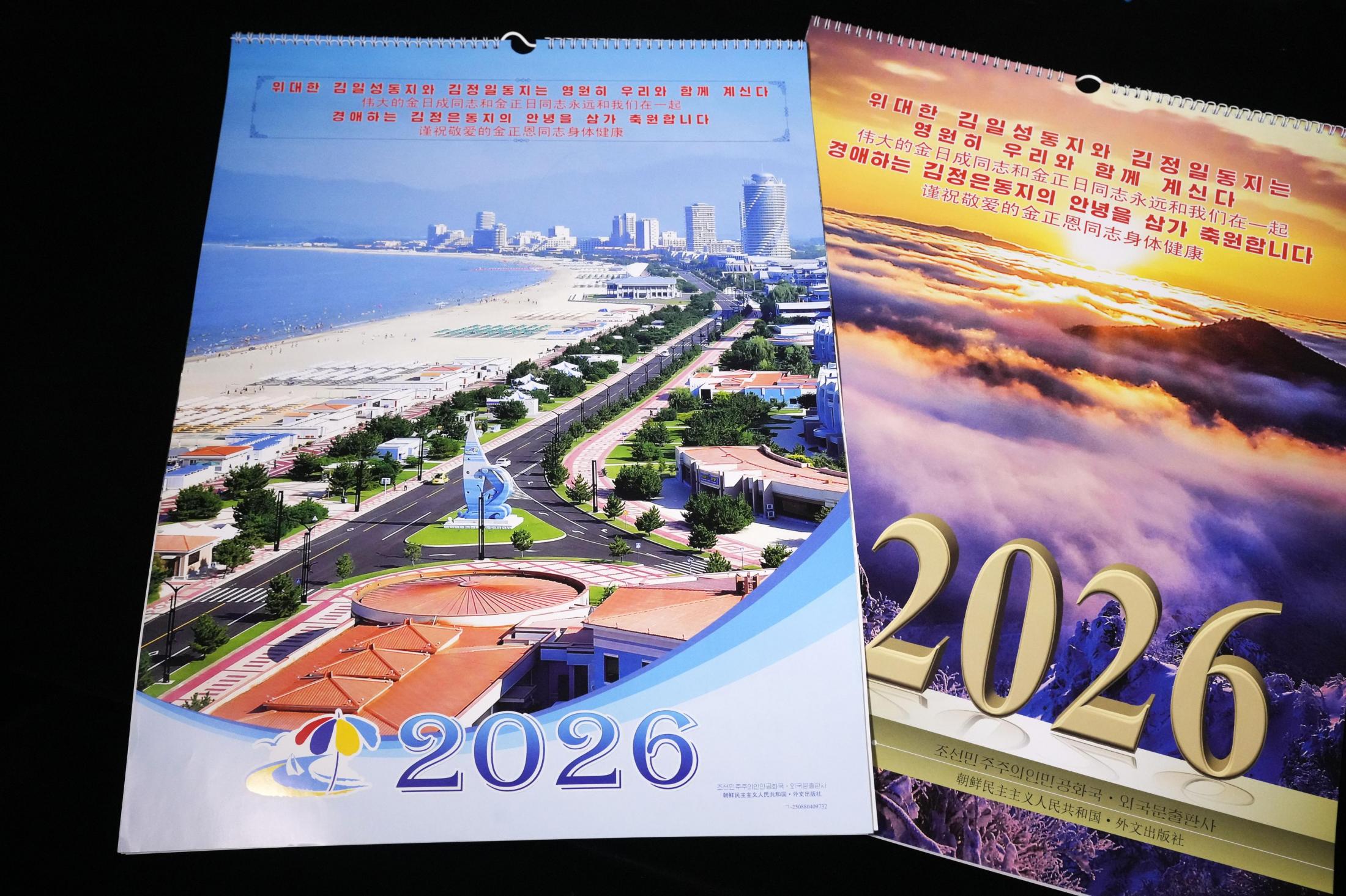 🏖️ 震惊！朝鲜也搞海滨度假？（面向中国）