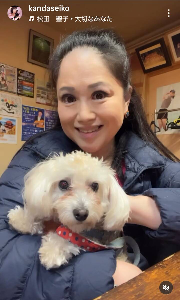 ✨神田圣子美貌惊艳！入学一年，恋爱&歌唱，太闪耀！✨