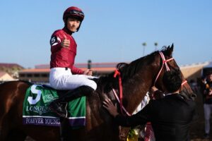 🐎 狂！日本赛马大热，海外豪门争抢！ 封面