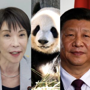 🐼 震惊！再也看不到熊猫了？中日关系，凉了吗？ 封面