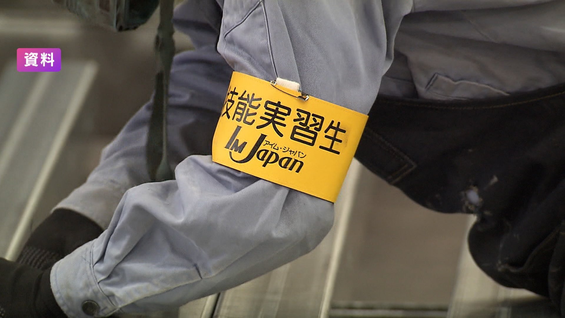 🚨123万外籍劳工涌入！日本真的缺人到这份儿上了？