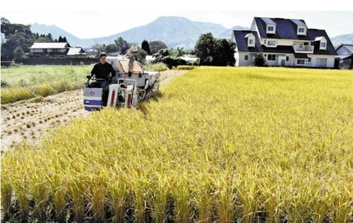 🍚米票遭集体抵制！竟有数十地考虑发？（防府市：米价涨太狠！）