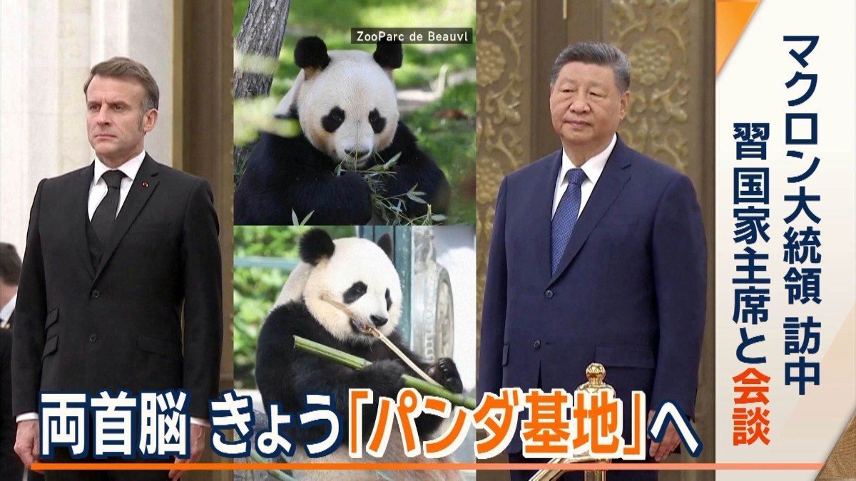 🐼 法国总统来华，熊猫“抱”住中国！