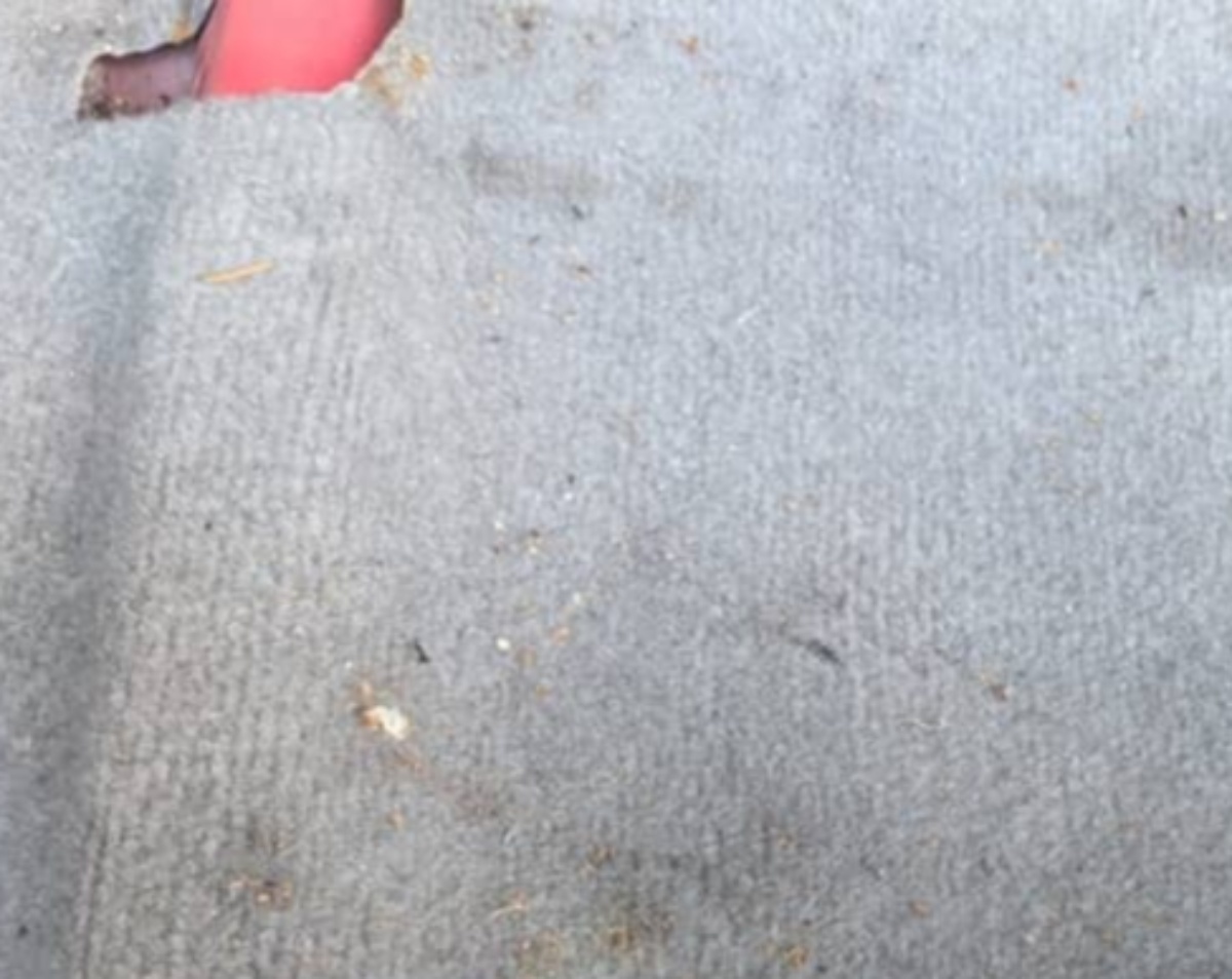 🚗 乘客座下藏了啥？！😱 网友：太惊了！500万人都想看！