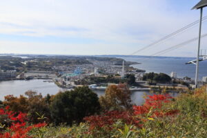 💥年收1800万，如今一文不名…中国游客断流的民宿！ 封面