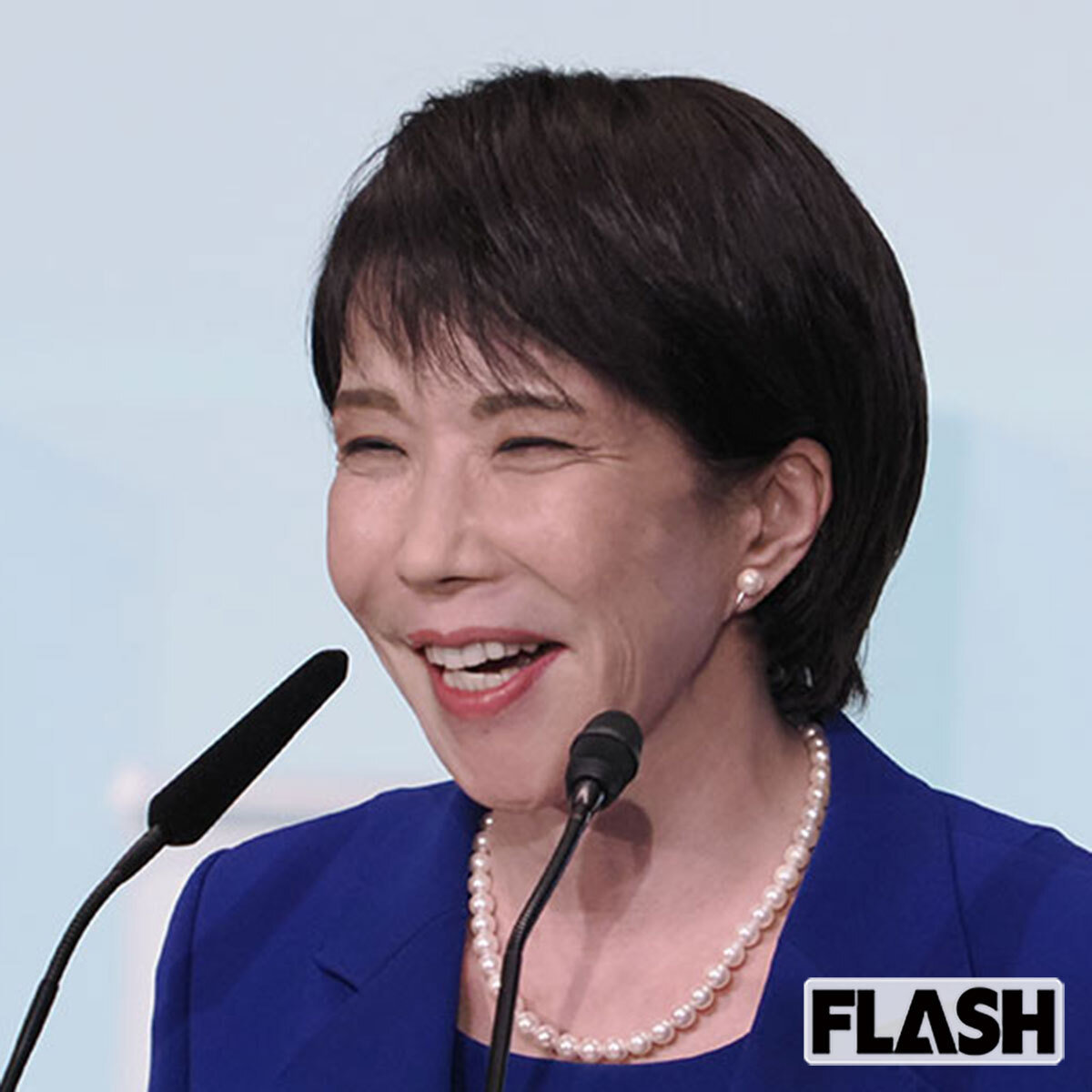 🐼熊猫要回家了？评论家观点引争议！