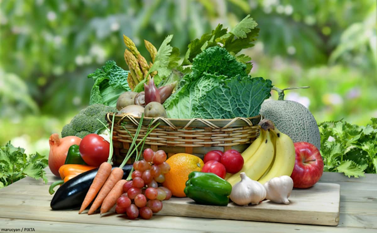 🌾 农民流失？别慌！这反而是日本农业的绝佳机会！