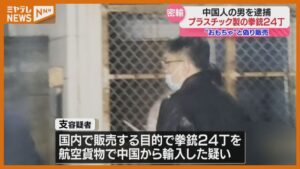 💥玩具枪藏杀机！中国男子售真枪被捕！ 封面