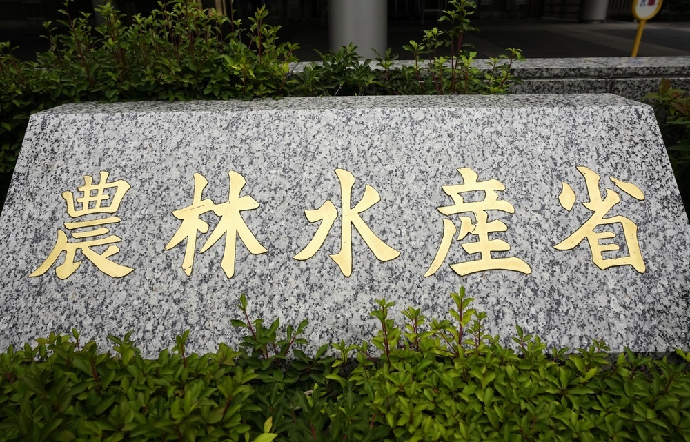 🍚米囤积有问？紧急放粮惹人忧！