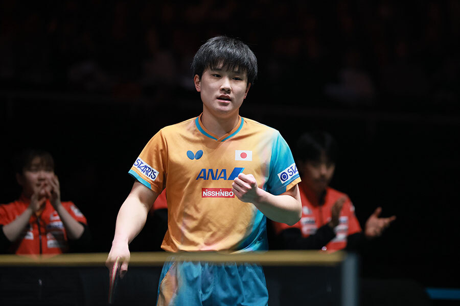 🔥逆风也高贵！中国粉丝为日将张本智和点赞！