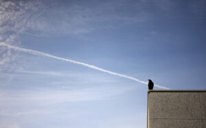 🎉护照费降啦！成人直降3000日元！ 封面