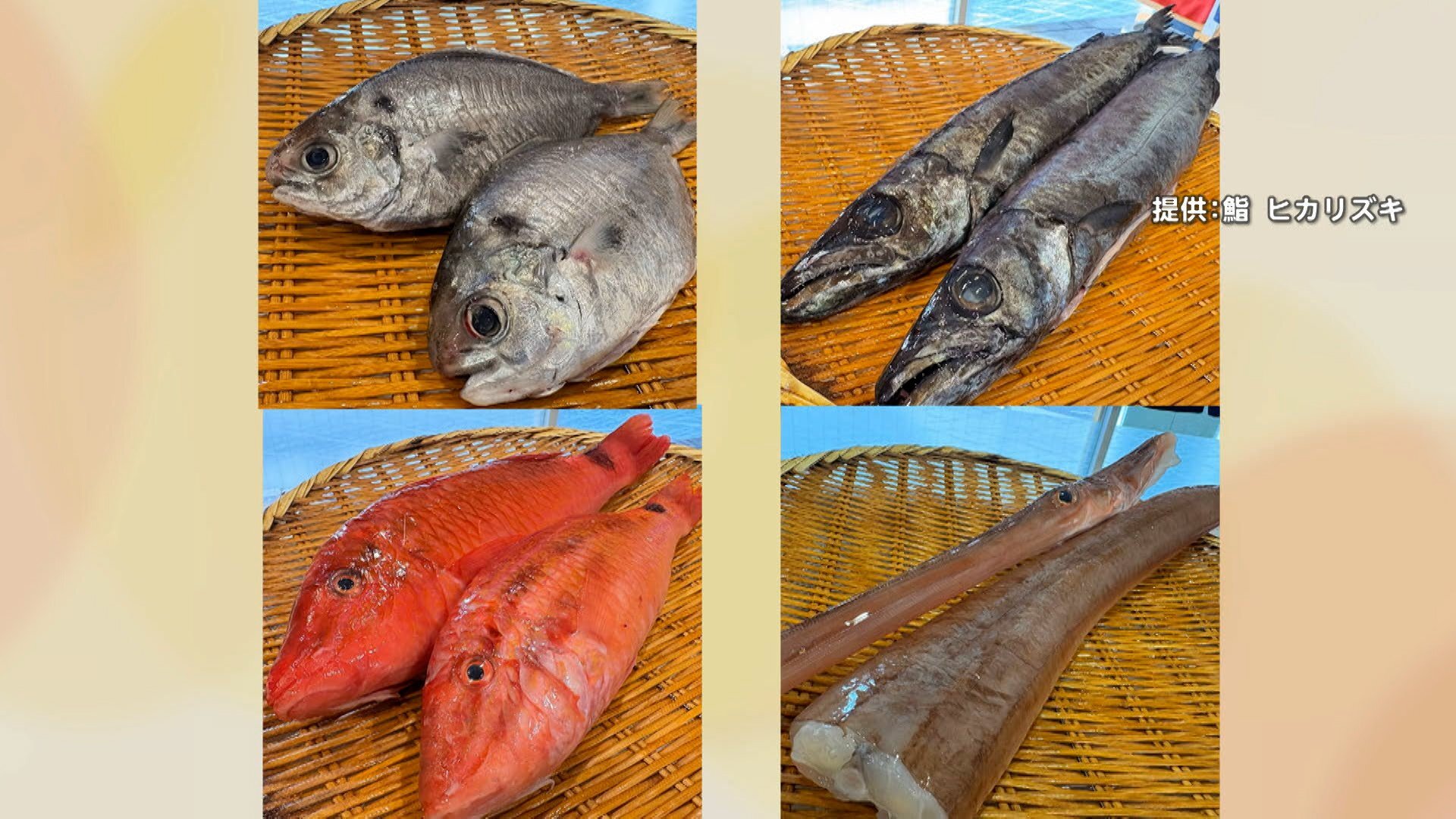 🐟️丑鱼、红鱼…竟然火了！寿司、食堂都用它，为啥之前没见过？