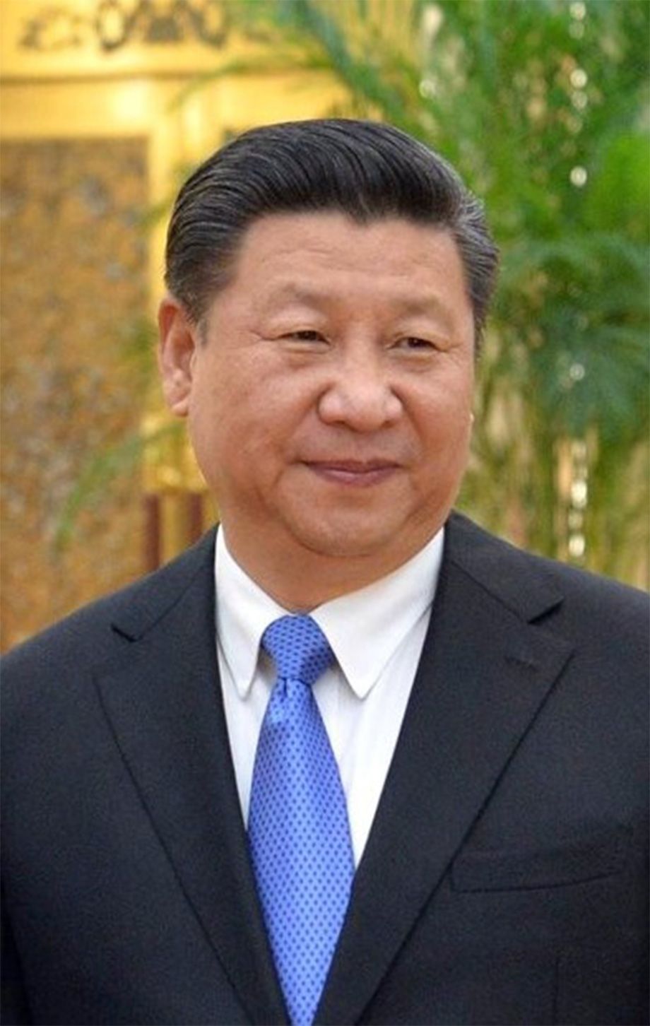 💥习总焦虑了！日内反华势力，竟是他的“傀儡”？