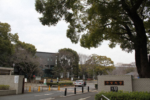 🚨震惊！论文造假，博士学位被撤！