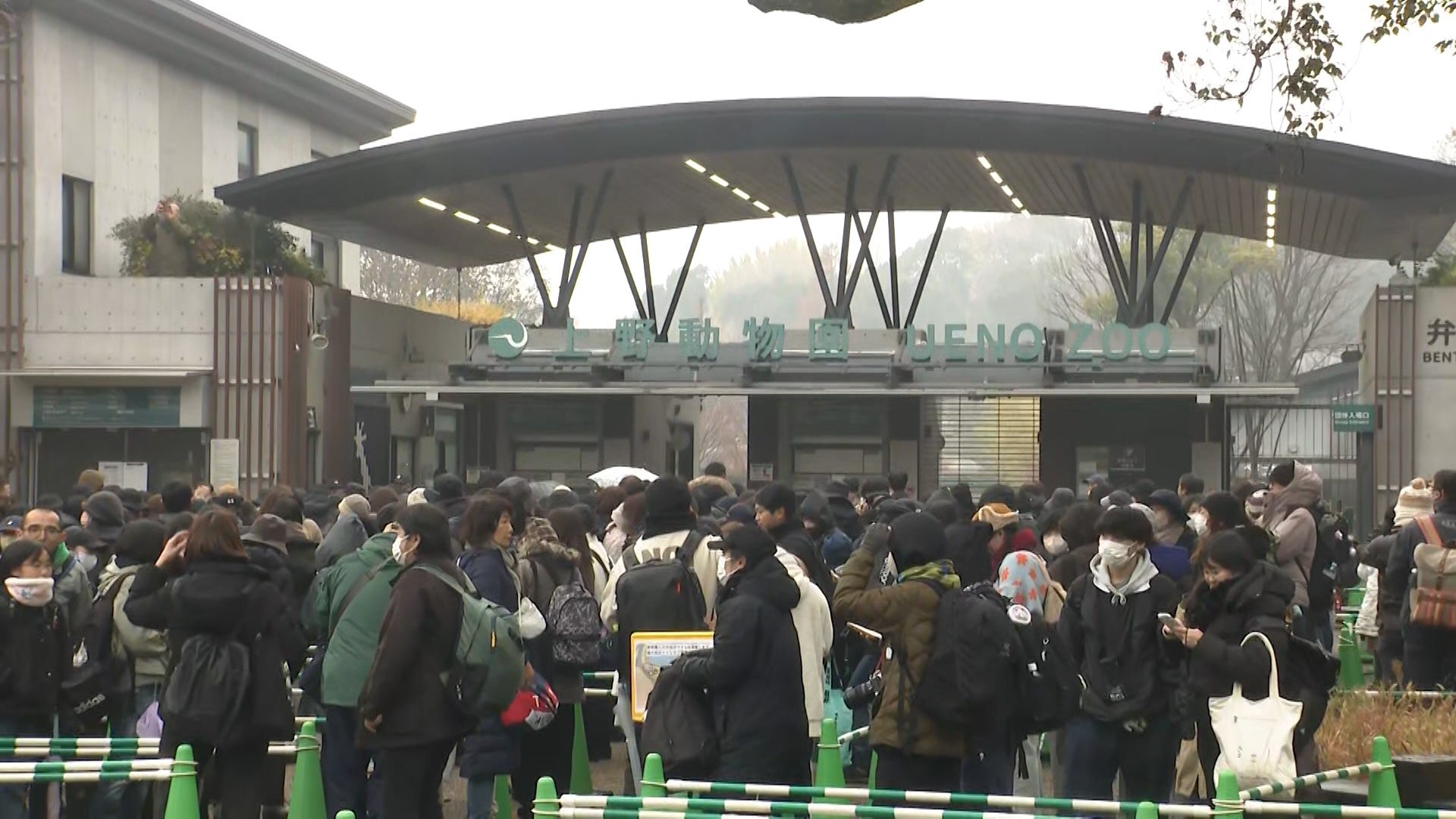 🐼再见了，圆滚滚！上野熊猫：没预约就看不啦！