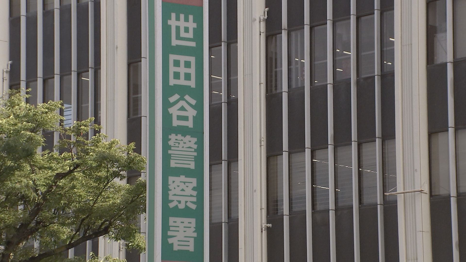 🚨77岁保姆失职！4岁女童洗澡窒息，延误报告被捕！