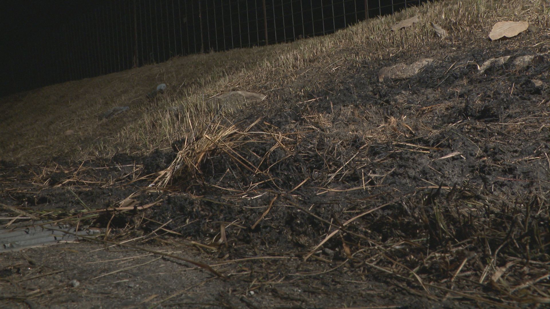 🔥八旬老翁烧荒野，自焚求救！危重！