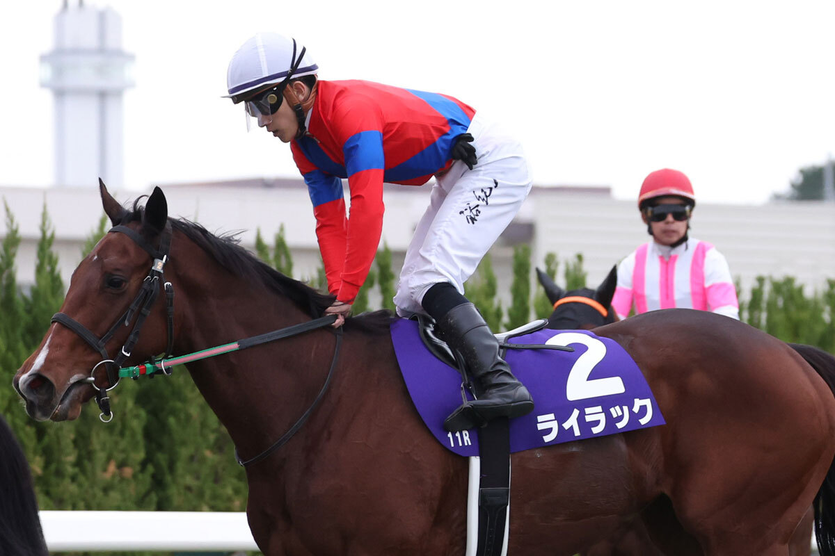 🐎 爆冷！人气冠军恐缺席，年度收官战悬念升级！