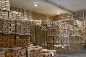 📉 滞销！稻米新米卖到冰点价，农民愁坏了！ 封面