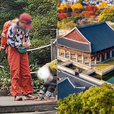 💥皇宫“惊现”排泄物！韩网炸了：中国人“报复”？