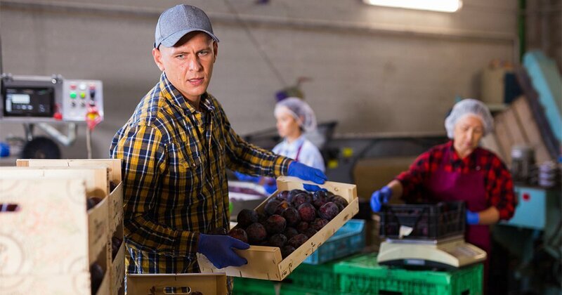 💥日本完败！中小企业差距，看完心疼…（钻石在线）