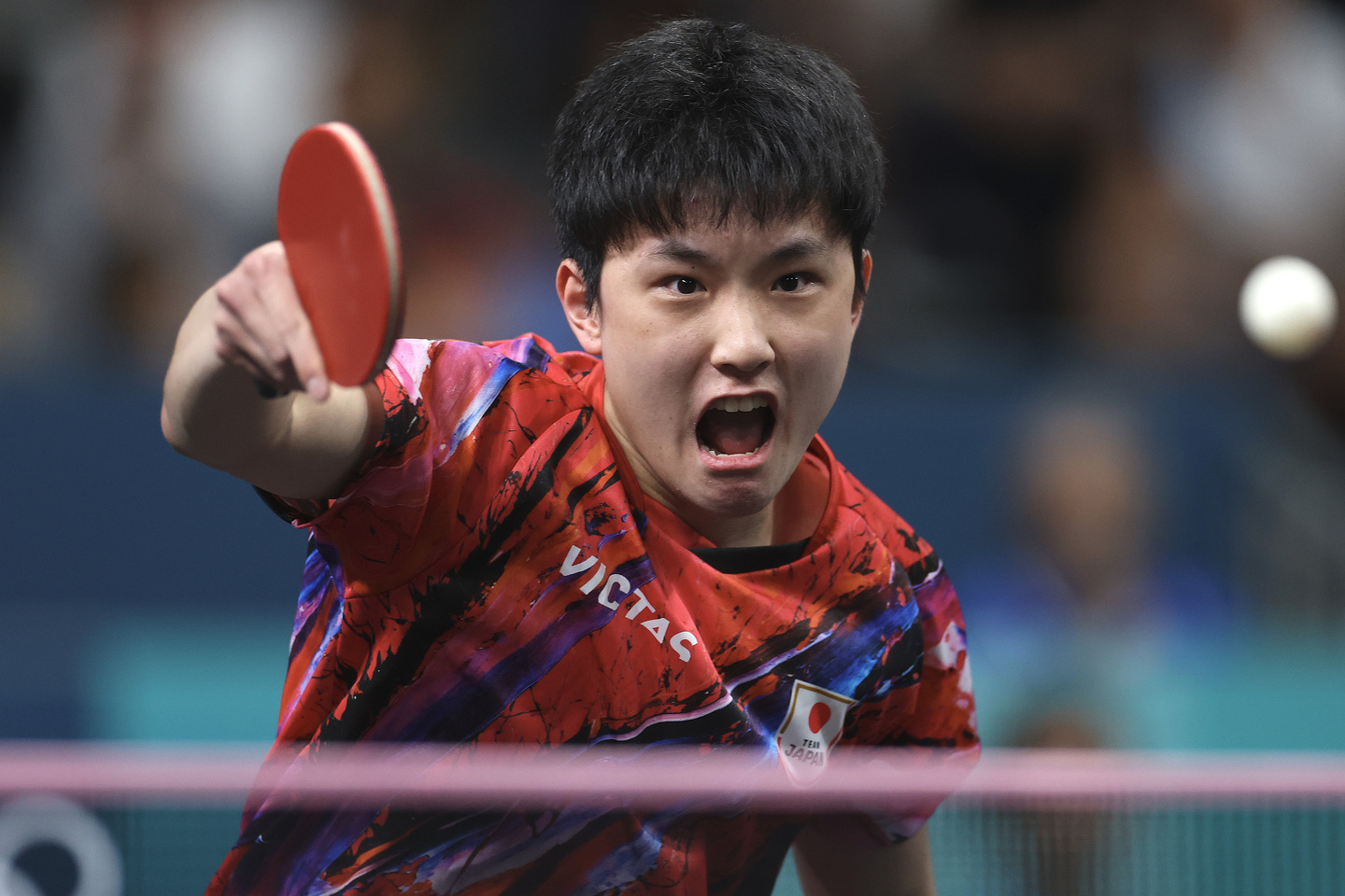 💥国乒球迷狂嘘张本！太狠了，这算啥体育精神？