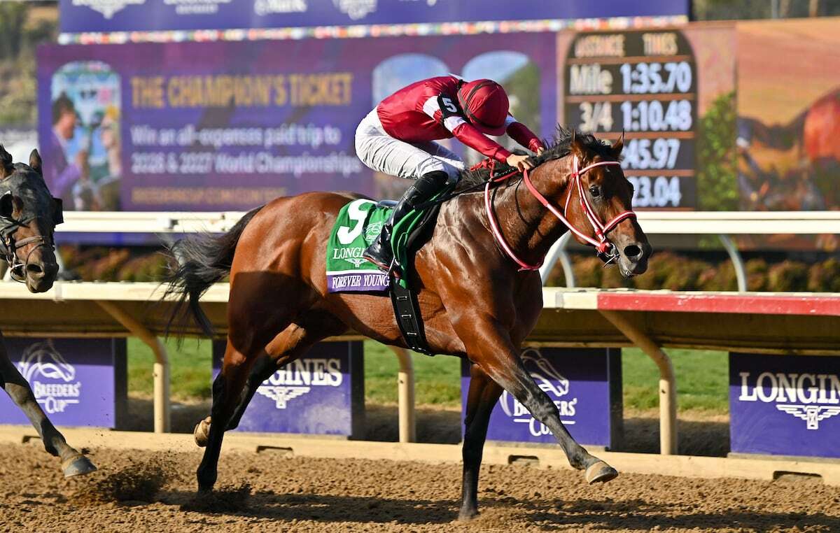 🔥神童赛马赴美引豪约！🇯🇵先保日本，明年直冲有马纪念！