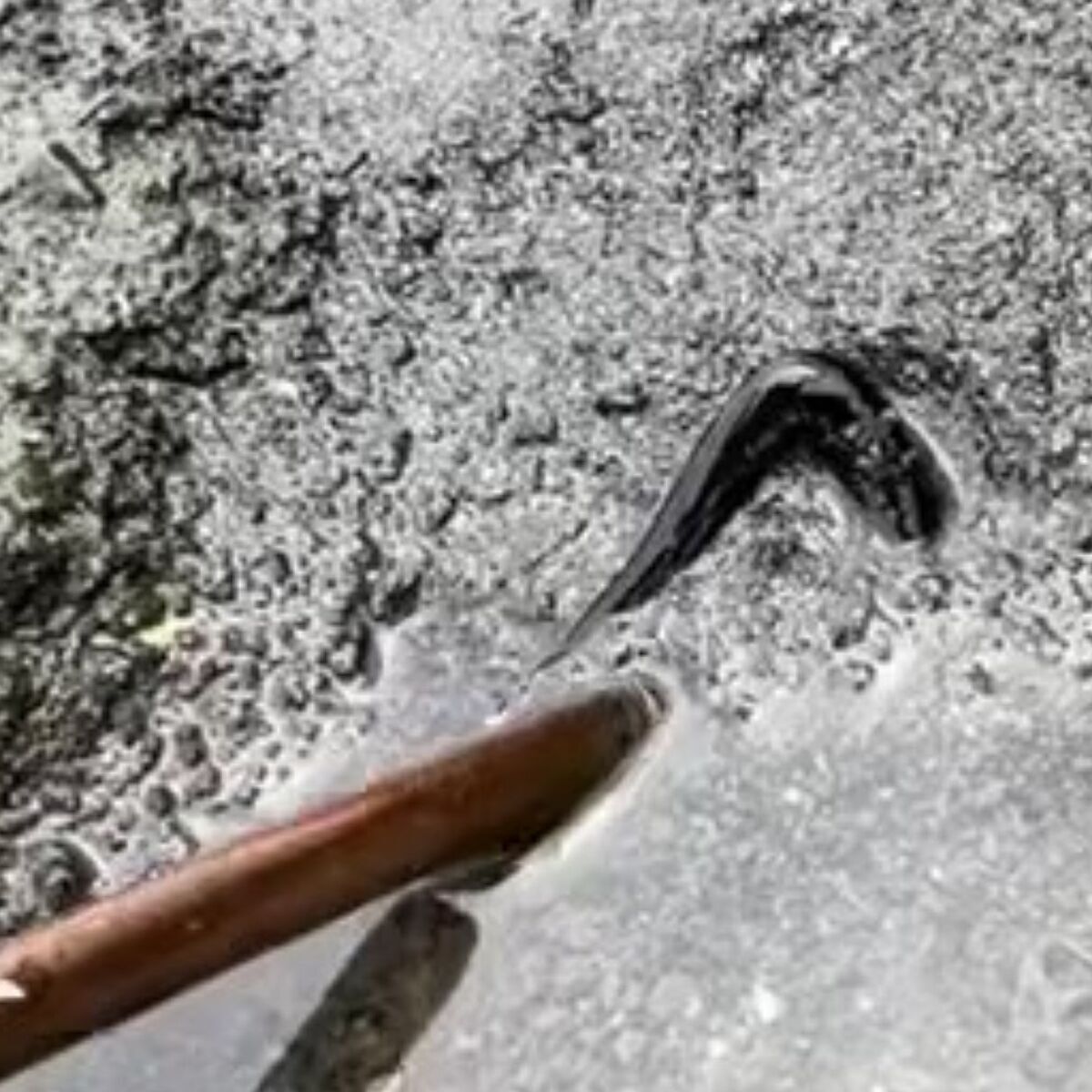 🏖️沙滩上闪亮亮的东西…挖开后惊呆了！😱