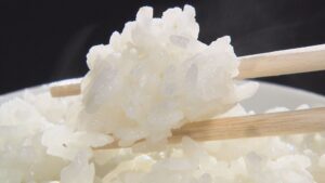 🍚福井大米：丰收价涨！农民喜笑颜开，未来还有惊喜！ 封面