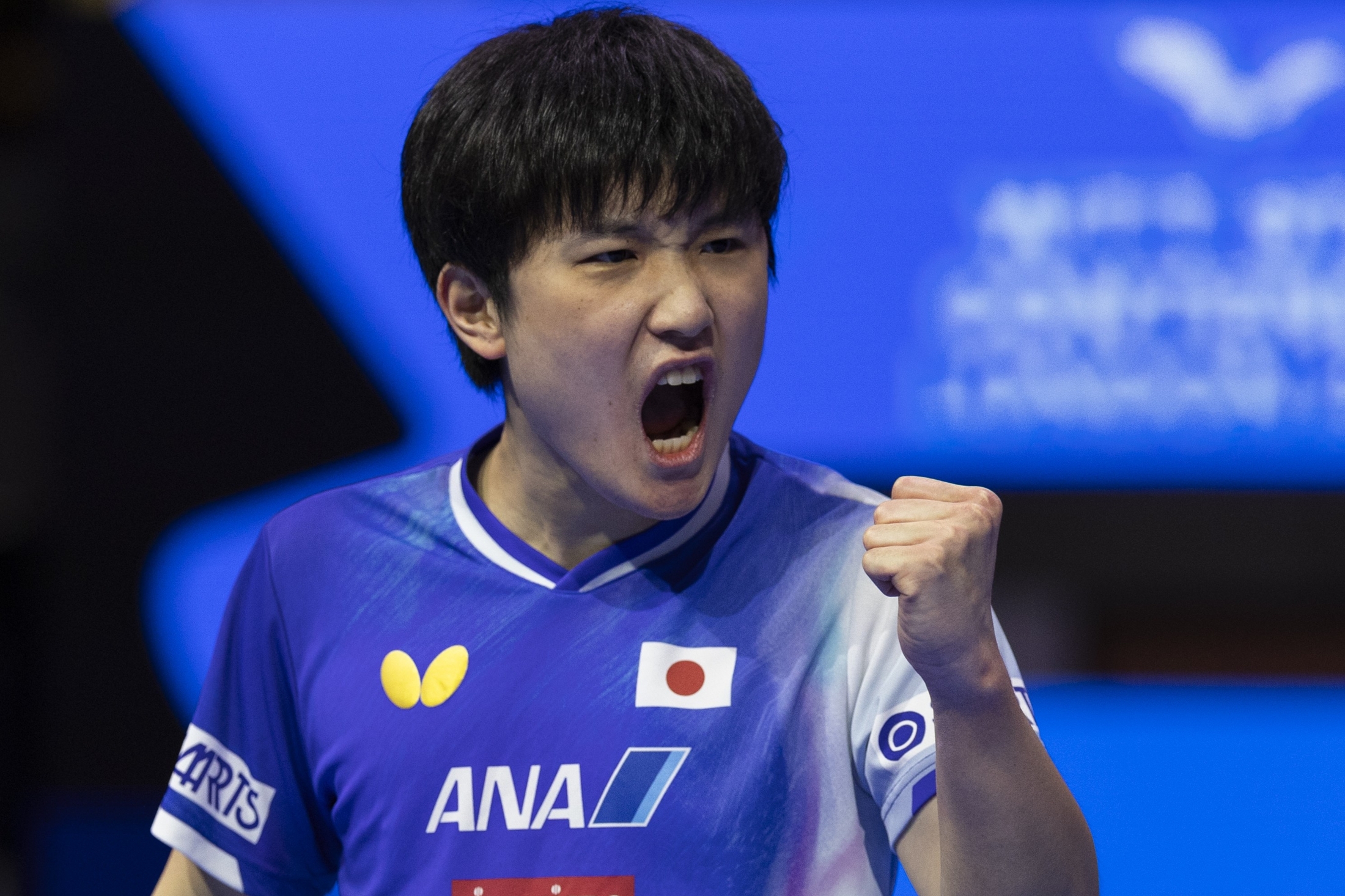 🔥对手同情！中国媒体：张本被“敌视”是种荣耀！