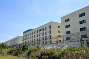 🥭柬埔寨“甜蜜陷阱”：芒果厂背后的诈骗黑洞！ 封面