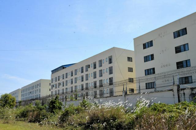 🥭柬埔寨“甜蜜陷阱”：芒果厂背后的诈骗黑洞！